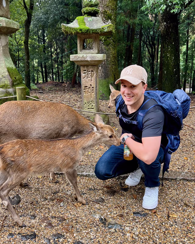 Deer bribery, Nara